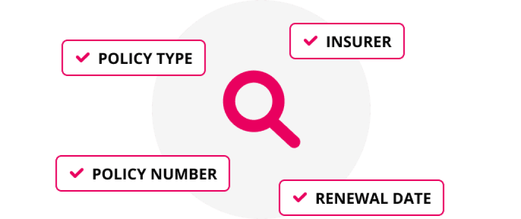 Policy Type, Insurer, Policy Number, Renewal Date